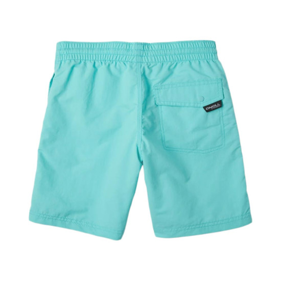 O'neill Παιδικό μαγιό Vert Shorts O'neill Παιδικό μαγιό Vert Shorts